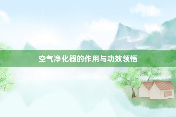 空气净化器的作用与功效领悟