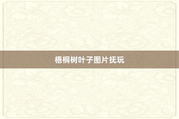 梧桐树叶子图片抚玩