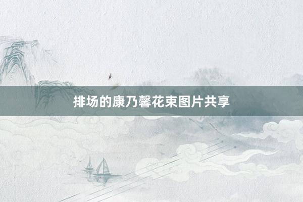 排场的康乃馨花束图片共享