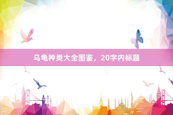 乌龟种类大全图鉴，20字内标题