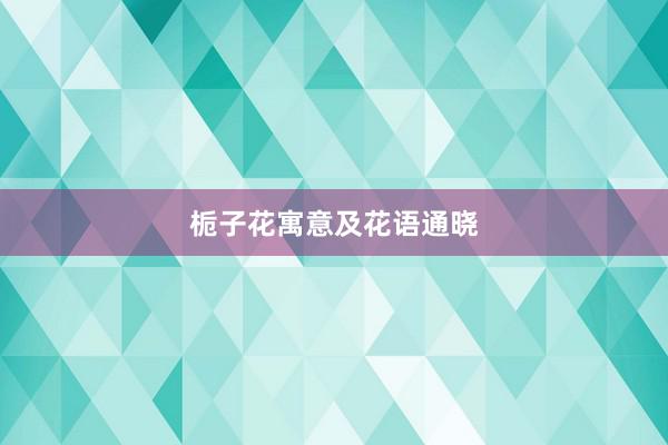 栀子花寓意及花语通晓